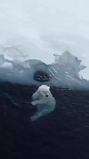 Солнечного настроения в любую погоду