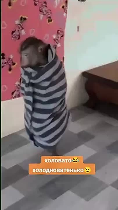 5 градусов мороза ночью и около 0 днём прогнозируют синоптики с середины следующей недели