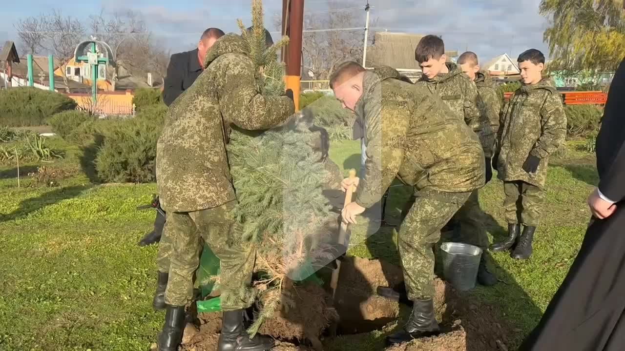 Больше деревьев для Приднестровья