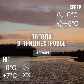 Утром местами туман. Днём – до +7°С, без существенных осадков