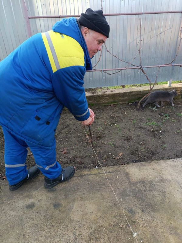 ����� ������� ����������. ����������� �������������� ������� ��� ������������������ �������� ����� ������� ���������� � ��������� � ���� ������� � ���� ��������