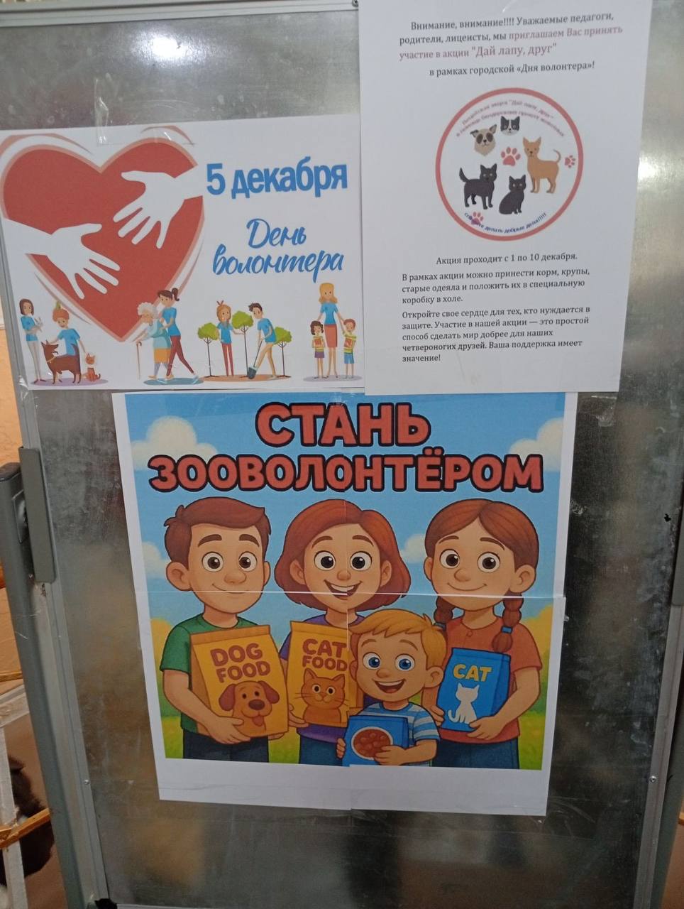 Новый год — время чудес и добрых дел! Новый год — время чудес и добрых дел!