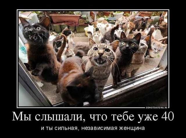 Бендерчанка получила ведром в ухо за то, что соседка кормила её кота