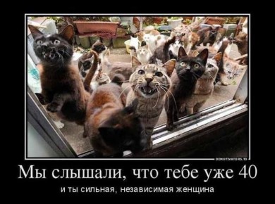 ����������� �������� ������ � ��� �� ��, ��� ������� ������� � ����