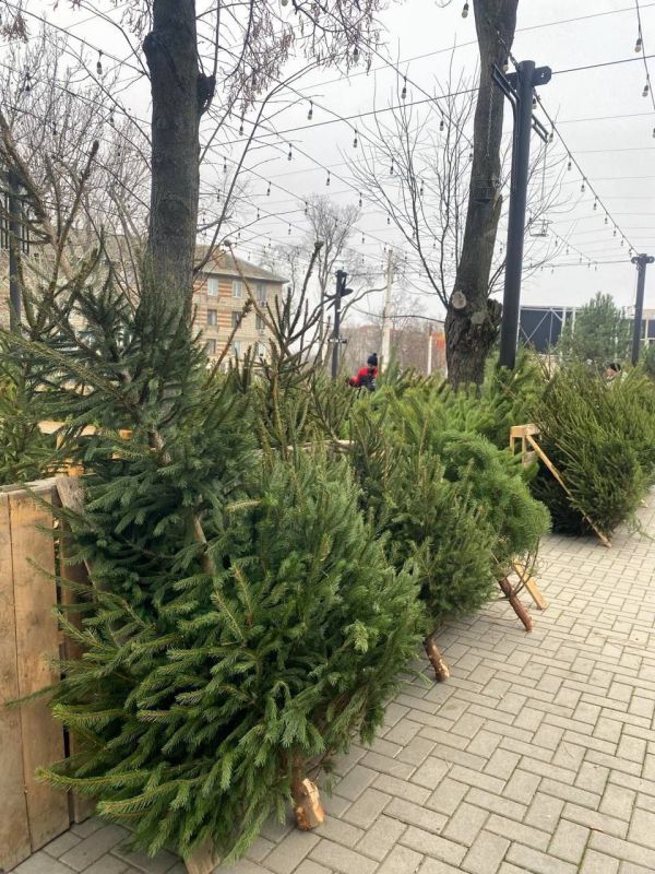 � ������ ��������� �������� ����� ������� ������� ����� ���������