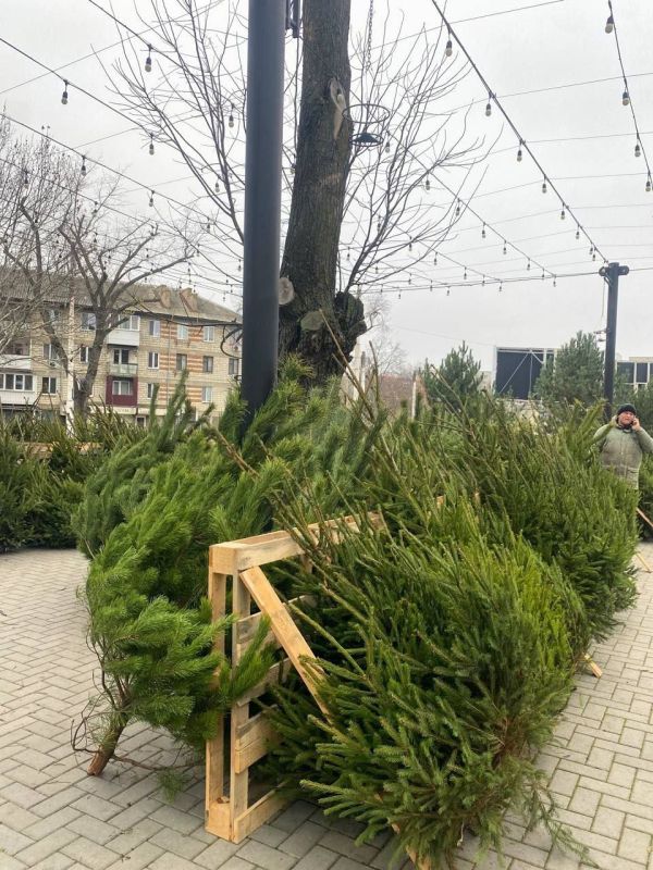 � ������ ��������� �������� ����� ������� ������� ����� ���������