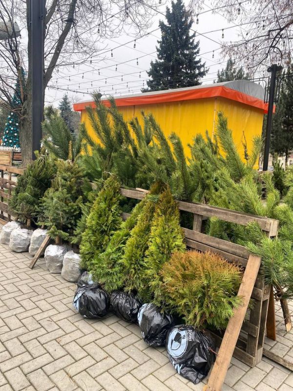 � ������ ��������� �������� ����� ������� ������� ����� ���������