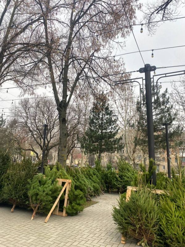 � ��������� ������ ��������� �������� ������� �����