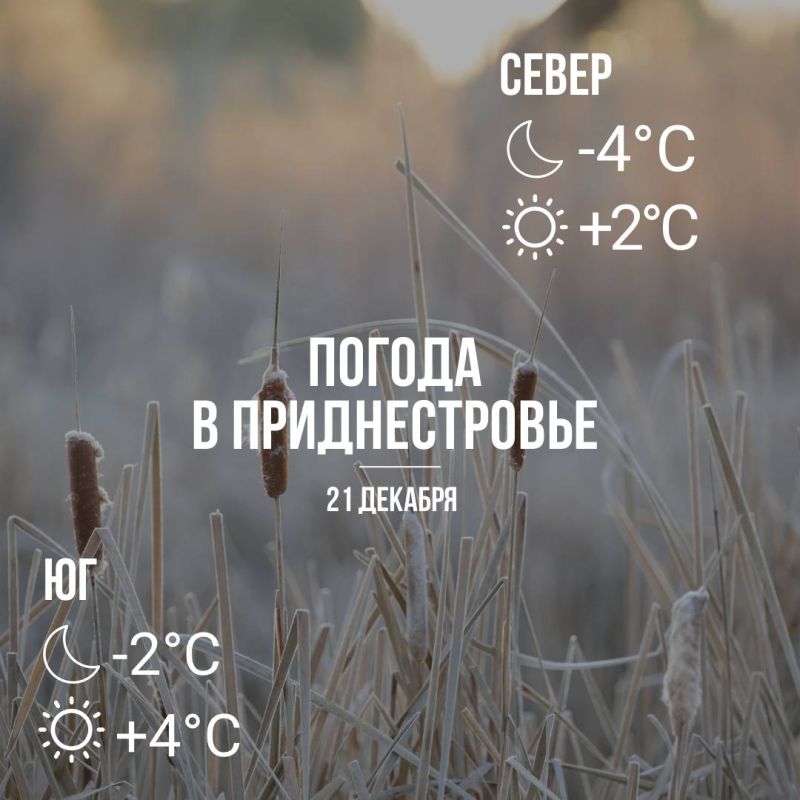 Днём – до +4°С, без осадков