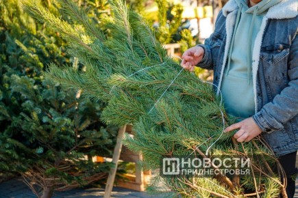 ��� �������� ������ ���������� ����?