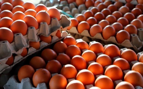 ������� ������� �� ������� ���� �������� ������� � � 2026 ����