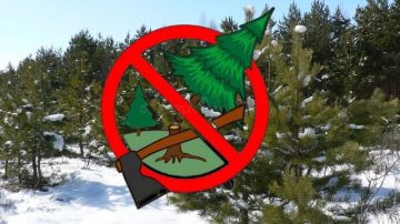 ������� ��� �������. � 23 ������� 2025 ���� � �������� ���������� ���������������� ����������� ��� �������� ��������� �����