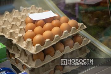 ������������ ����� ��� ����� ��� �������� ��� � ������������� ����� ����������� � � 2026-� ����