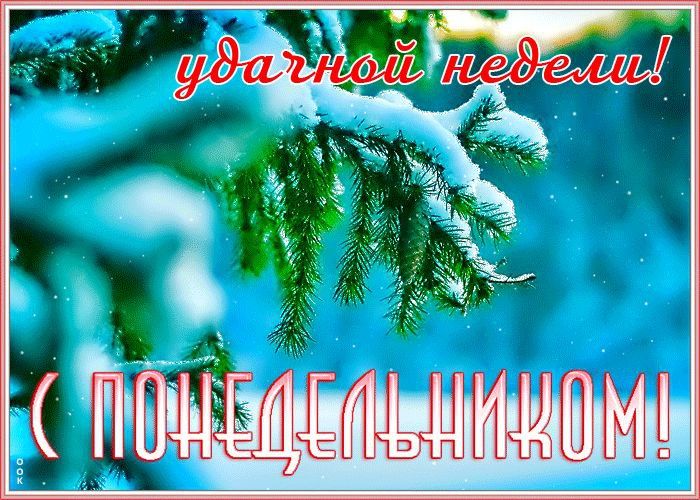 22 декабря - чудесный день