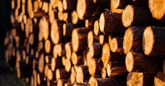 ������� �� ����� ��������� �������� �� 2026 ����