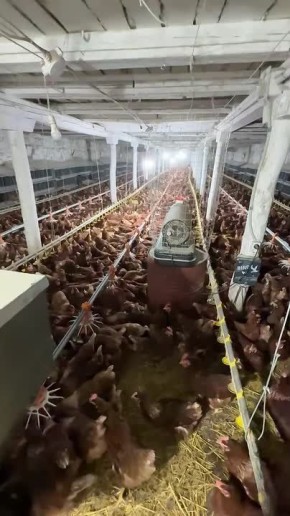 ���������� � ���� ��������� ����� ����������� ������ ������� ���