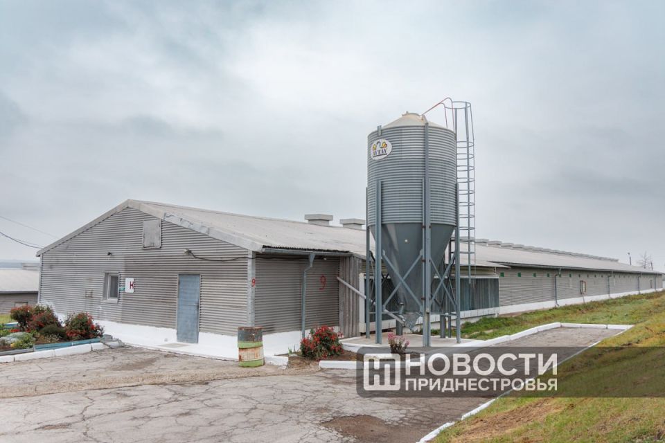 Животноводческие хозяйства получат приоритетное право на получение земельных участков за пределами сёл для строительства ферм