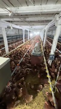 ���������� � ���� ��������� ����� ����������� ������ ������� ���