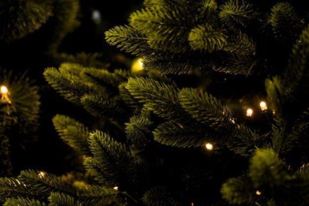 �������� ������ ���� ����� ������ �� ����������� ������� ������� � � ������������