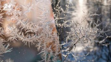 23 �������. ��������� �������� ������, ���� ������� ������ ������