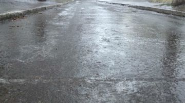 ����� � ����� 24 ������� �� ���������� �� ������� ������� ����������, �������� ��������������� �������������