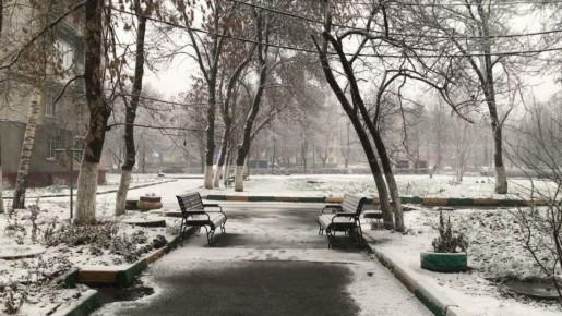 24 �������. ��������� �������� � ������������ ������, ����� � ����� ������� ������ ����, �� ������� ������� ����������