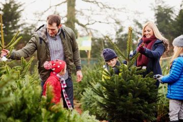 ���������� ����� � ��� � � �������