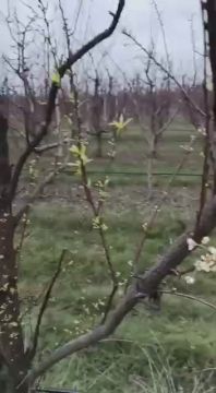 ����� ������� � ��������� �� ���