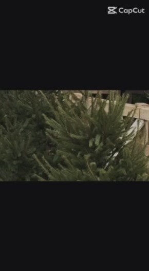 � ������ ��������� ������, ��������� ���� ��� ������� ���������� ����������