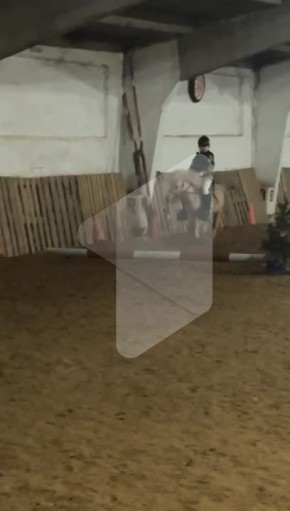 ����� ����� ������, ������� �� ������� ������� � � ���������� ����� ������ ������� ������ ����� �� ����