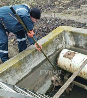 �������� ��������, ������� ������ � ����� � ����������� ������ � ������ ��� � �����