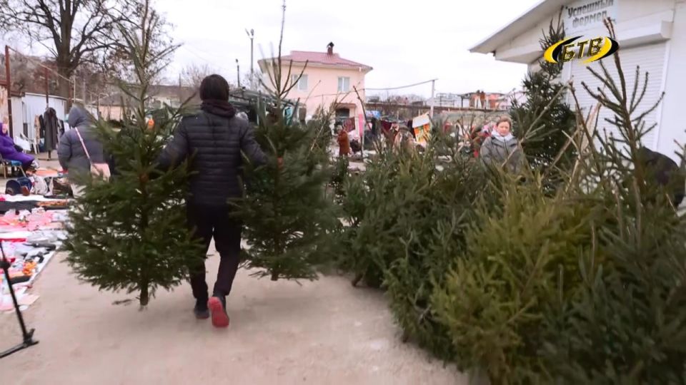 ����� ������ ���������: � �������� �������� ������� �����