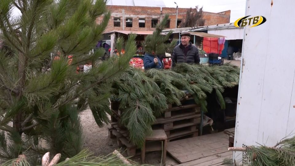 ����� ������ ���������: � �������� �������� ������� �����