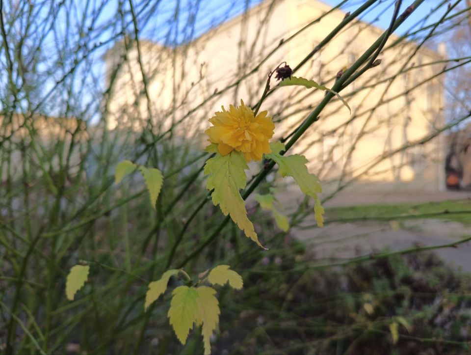 ���� ����������: � �����, � �����