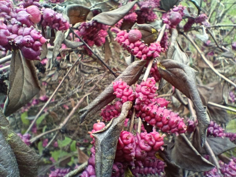 ���� ����������: � �����, � �����