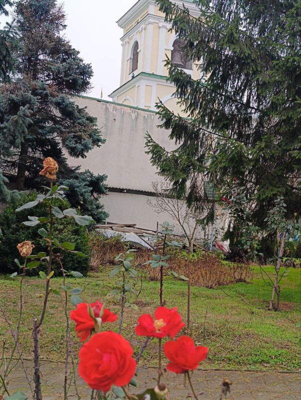 ���� ����������: � �����, � �����