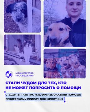 Стать чудом для тех, кто не может попросить о помощи