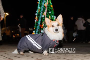 ������������� ���� ��������� � ������������� � ������������ ���, ������� ������� ���������� ���������� ������� ���������