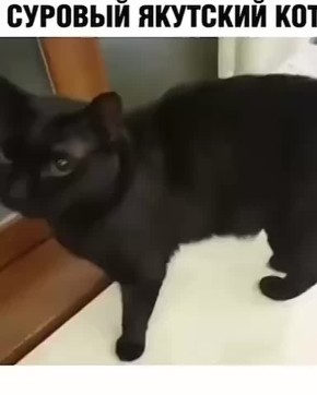 ����� ��� � -9 ���� �� ������ ������, ������, ��� � ������ ������ -52