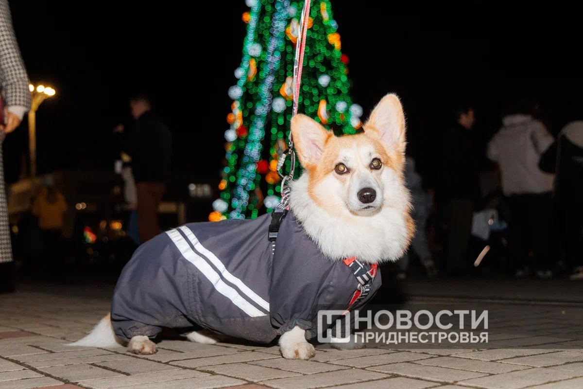 Климатическая зима наступила в Приднестровье с сегодняшнего дня, говорит главный метеоролог республики Виталий Кольвенко
