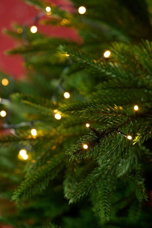 Позаботьтесь о безопасных праздниках