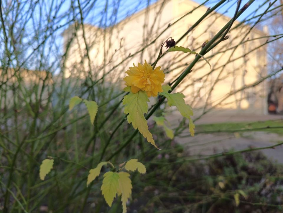 ���������� ������� ��������� ������� � �������������