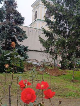 ���������� ������� ��������� ������� � �������������