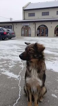 ���������������� ����� �� �����, � ���� ���� ����