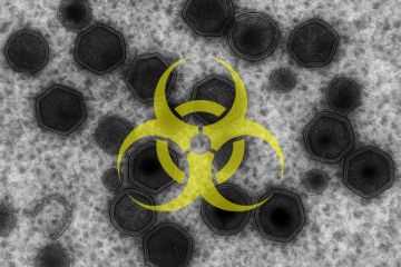 ������� ����������� ���� ������ �������� ��� � ���� ����� ������� � �������� ������������� ������ � �������� ������������ ������