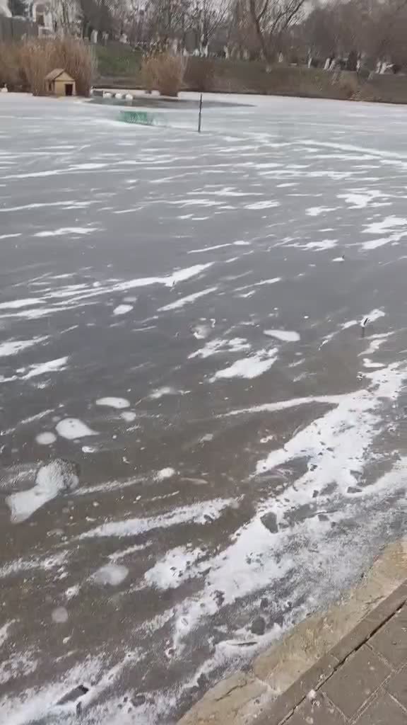 Озеро в Екатерининском парке покрылось льдом, он очень тонкий