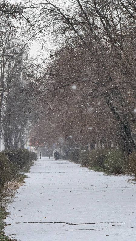 ����� ������� ������� ������ ��������� �� ��������� � ����� �����������