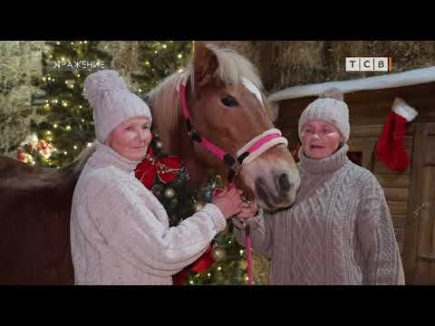 ��������� �������� ��������� ����� �� 12-������ ����� � ��������-�������� ��� ������� ���� ����� ����� � ���� �����