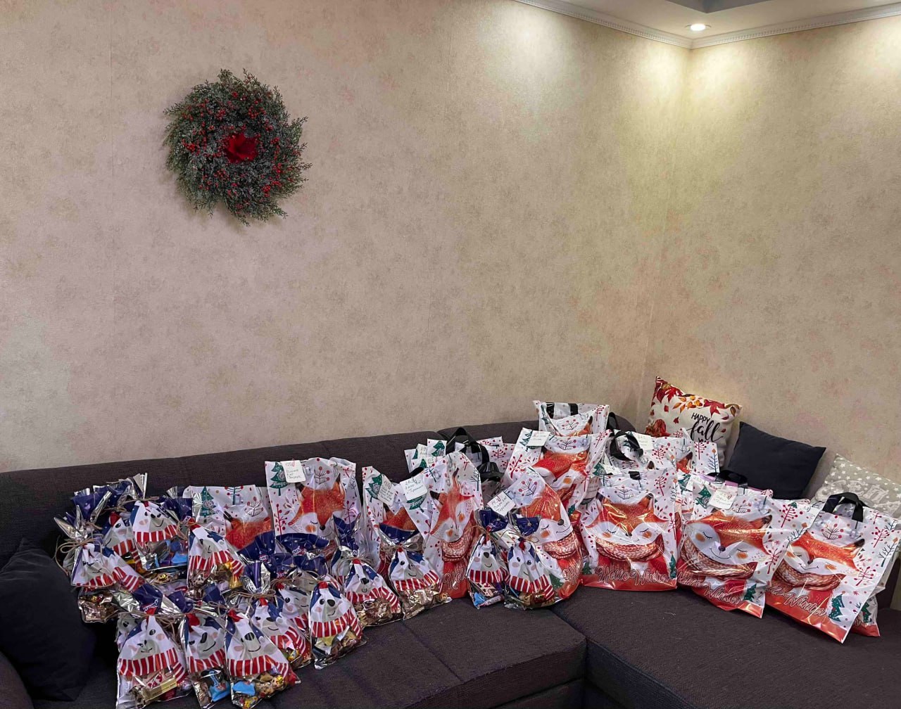 Добровольными помощниками главного новогоднего волшебника в исполнении желаний приднестровских мальчиков и девочек стали в этом году представители разных профессий и поколений