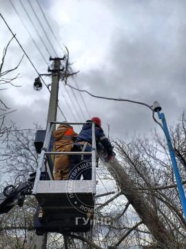В Слободзее дерево повредило газопровод, а на дороге Каменка — Красный Октябрь сосна упала на проезжую часть